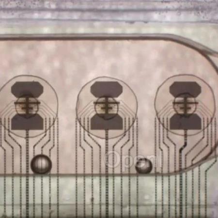 全球首个基于活体人脑细胞的生物处理器研制成功