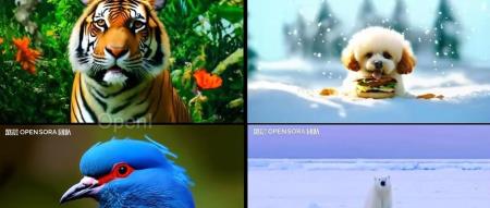 单镜头16秒720p高清视频一键生成,开源版Sora又有新惊喜了