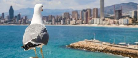 TikTok 首度曝光多年来与美秘密谈判细节;美国新规拟禁止在中国投资 AI ;00 后女孩离职删软件被公司威胁起诉| AI周报