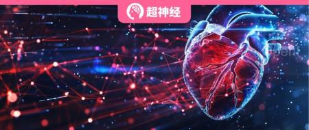 候选CVPR 2024最佳论文!深圳大学联手香港理工发布MemSAM:将 「分割一切」模型用于医学视频分割