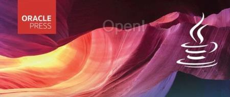 “AI 热会逐渐降温，AGI 普及不了多少场景！”对话《Core Java》作者 Cay Horstmann