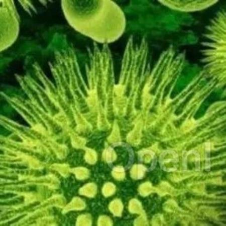 《Science》科学家百思不解如何“缴械”耐药菌？