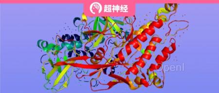 无实验数据指导蛋白质定向进化,上海交大洪亮课题组发表微环境感知图神经网络 ProtLGN