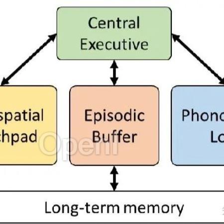 Agent技术洞察01:增强大语言模型 Agents 的工作记忆能力