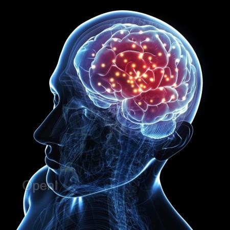 Science最新发布：遨游脑海，人脑3D“全景地图”再升级，分辨率前所未有！（附视频）