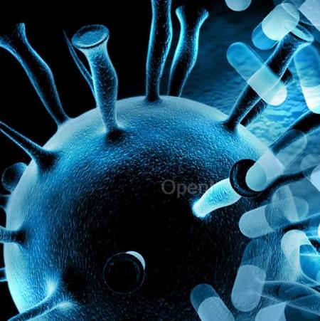 Science打破常规认知：发现免疫细胞内部运作的关键差异