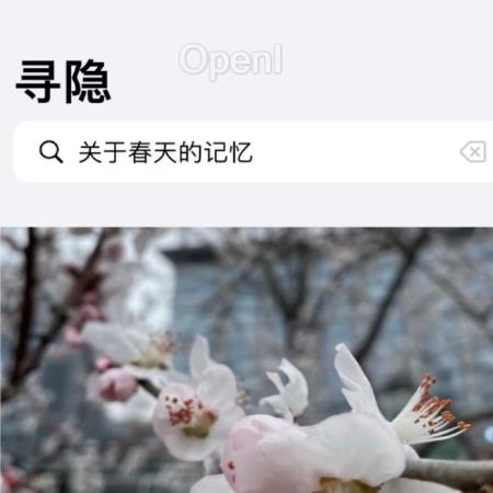 开发者自述:诞生、爆火、开源、沉寂,一款 AI 相册搜索应用的两年