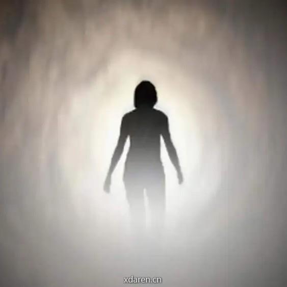 每天为你读一本好书