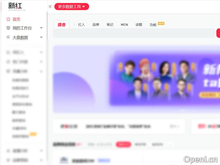 新红数据:小红书数据分析工具