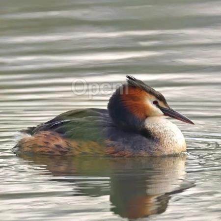 超越 Transformer 与 Mamba,Meta 联合斯坦福等高校推出最强架构 TTT