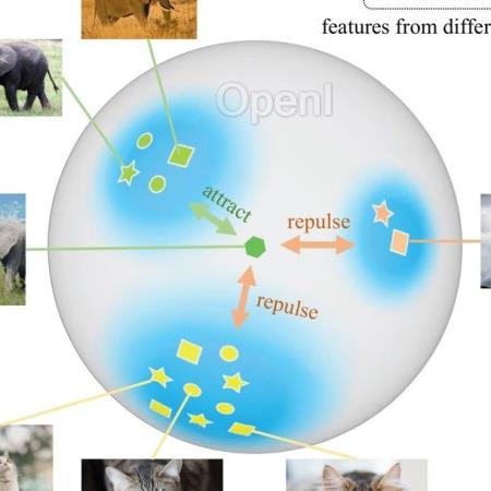 TPAMI 2024 | ProCo: 无限contrastive pairs的长尾对比学习