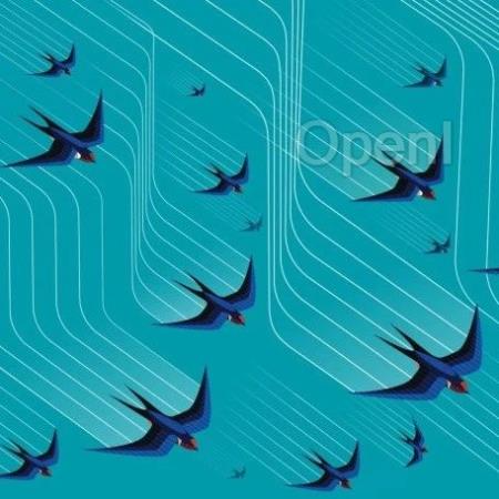 从动物群体行为到大脑空间决策，复杂性如何启发智能探索？