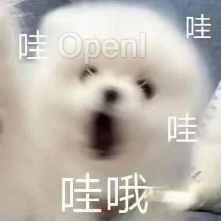 甲骨文首次将LLMs引入数据库，集成Llama 3和Mistral，和数据库高效对话