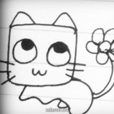 环球科学猫