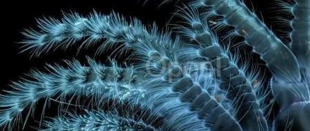 模拟微观世界:从薛定谔方程到大原子模型