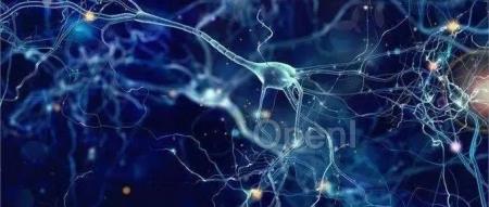 人脑是这样听懂语言的！《自然》首次发现，单个脑细胞就能“理解”字词