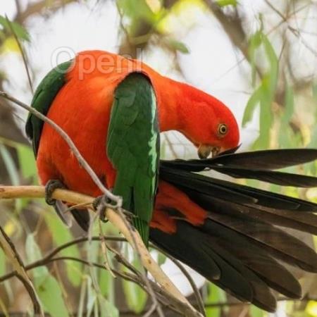 阿里开源语音处理模型 FunAudioLLM :50 种语言无缝翻译,还能识别语音情绪