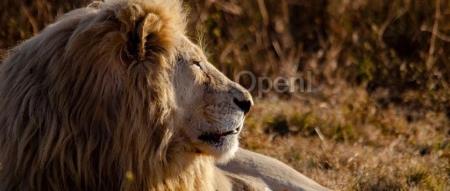 Karpathy又整活儿了!一天训练出GPT-2、成本还骤降100倍,网友:dream老黄把价格再打下来