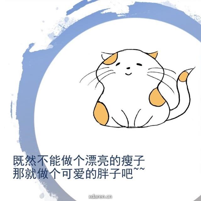 赵奋斗