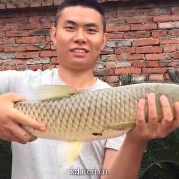 阿果聊钓鱼