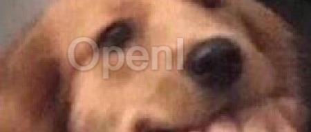 DeepMind新方法:训练时间减少13倍,算力降低90%