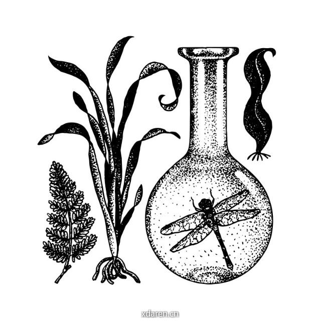 局部气候调查组