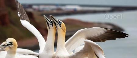 全员降薪60%、300亿市值几乎跌成零!这个曾剑指英伟达的国产芯片公司被曝造假,业内评其“老鼠屎”