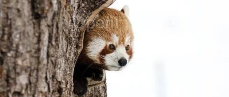 OpenAI 被曝非法阻止员工披露 AI 安全风险