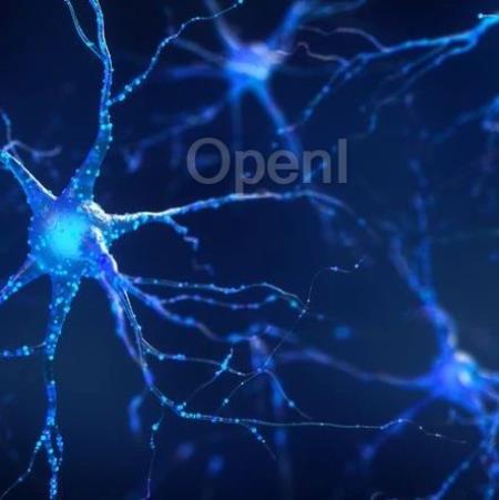 第一次,语言的神经激活被定位到细胞级