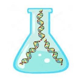 一个生物狗的科普小园