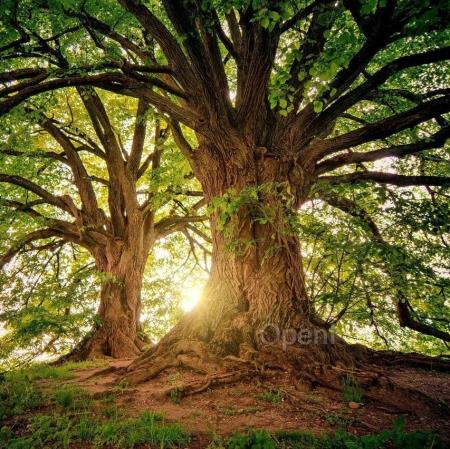 大模型产品琳琅满目,企业应该如何选择?