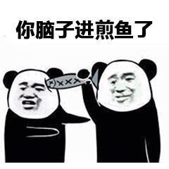 脑子进煎鱼了
