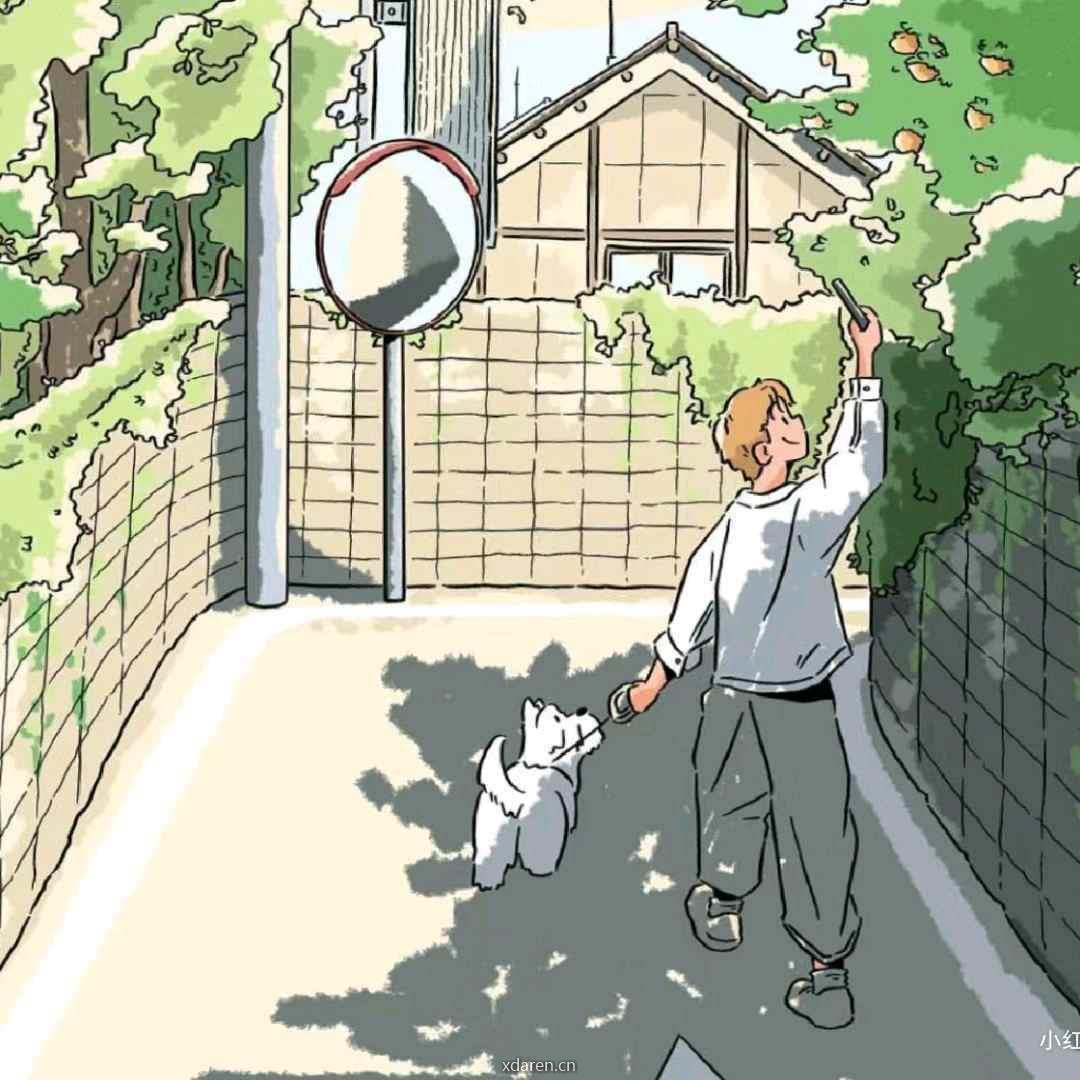 悦知小莫