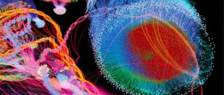 英国皇家科学院发布！《人工智能时代的科学：人工智能如何改变科学研究的性质和方法》