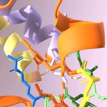仅几秒,准确推断蛋白动力学信息,山大、北理工等AI模型RMSF-net登Nature子刊