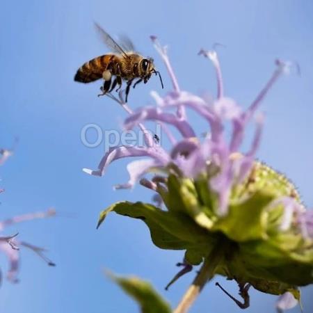 清华汪玉教授团队支招:如何把“大”模型部署到“小”设备上 | Q福利