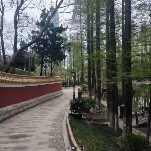 tz答疑解惑