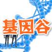 基因谷