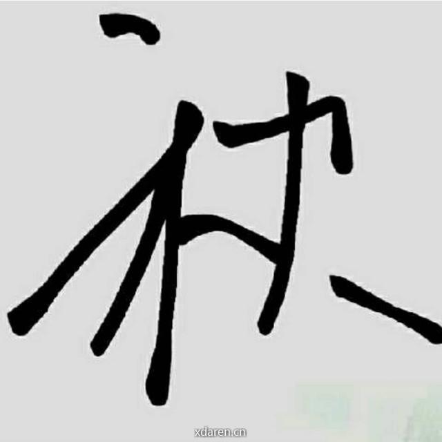 帅地玩编程