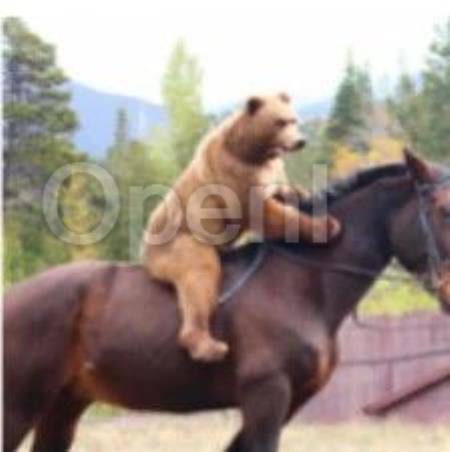 ECCV 2024|是真看到了,还是以为自己看到了?多模态大模型对文本预训练知识的过度依赖该解决了