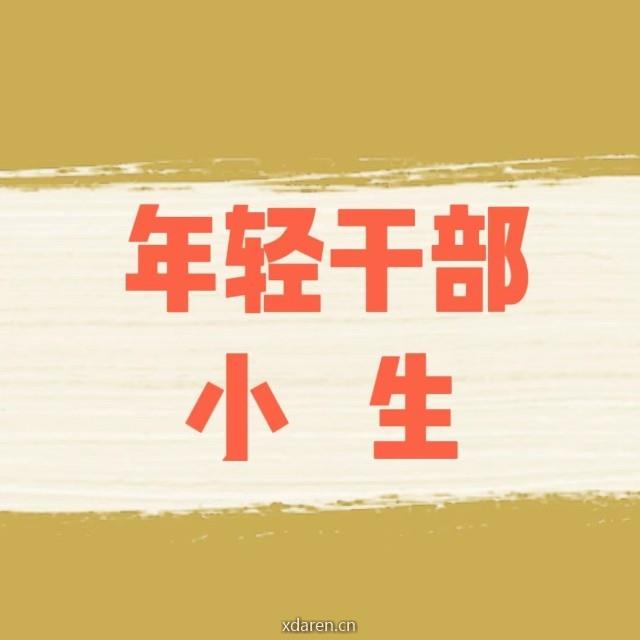 年轻干部小生