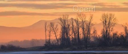 “萝卜快跑”被曝是真人在屏幕前操作;阿里云宣布与月之暗面“联姻”;去哪儿宣布每周两天自选办公地 |AI 周报