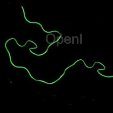 AlphaFold为什么能精准预测蛋白质结构？ | 返朴