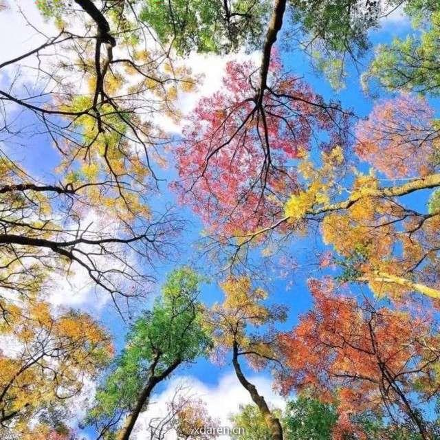 谁为锦年织彩衣