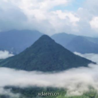 涂山论剑