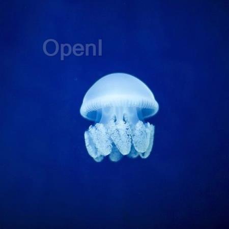 Andrej Karpathy 提出新构想:未来 2.0 计算机将完全由神经网络驱动