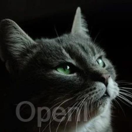 首个专为半导体行业设计的开源大模型 SemiKong 问世