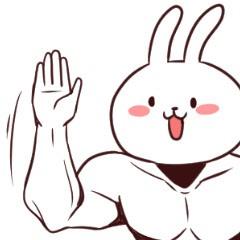 兔子的健身杂谈