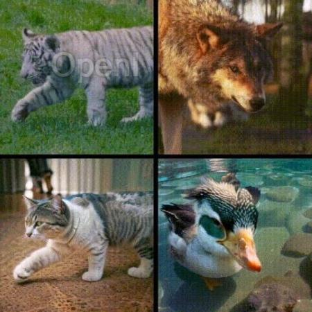 MotionClone:无需训练,一键克隆视频运动