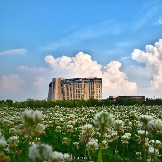 小小思生活笔记